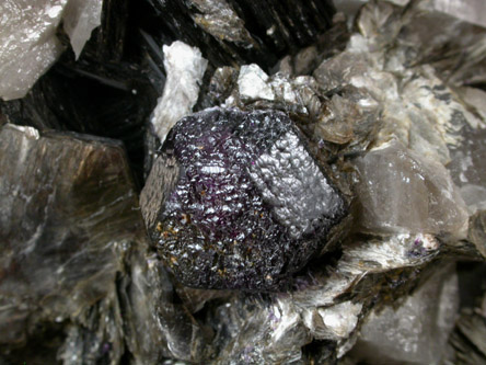 Fluorite on Zinnwaldite (Siderophyllite-Polylithionite) and Quartz from Zinnwald-Cínovec District, Erzgebirge, Saxony-Bohemia border region, Germany-Czech Republic
