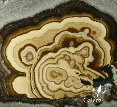 Wurtzite, Sphalerite, Galena (Schalenblende formation) from Olmuc, Poland
