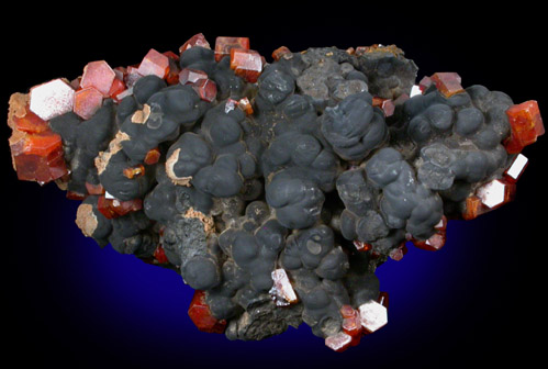 Vanadinite on Fe-Mn-oxide from Taouz, Errachidia, Meknes-Tafilalet, Morocco