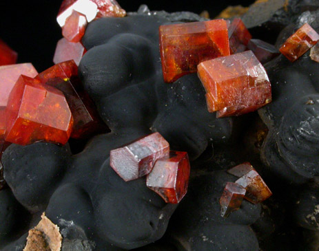 Vanadinite on Fe-Mn-oxide from Taouz, Errachidia, Meknes-Tafilalet, Morocco