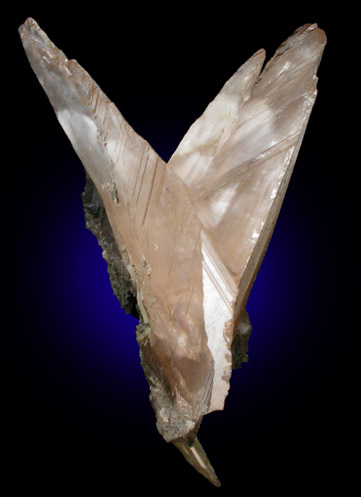 Cerussite (V-twin) from Touissit Mine, 21 km SSE of Oujda, Jerada Province, Oriental, Morocco