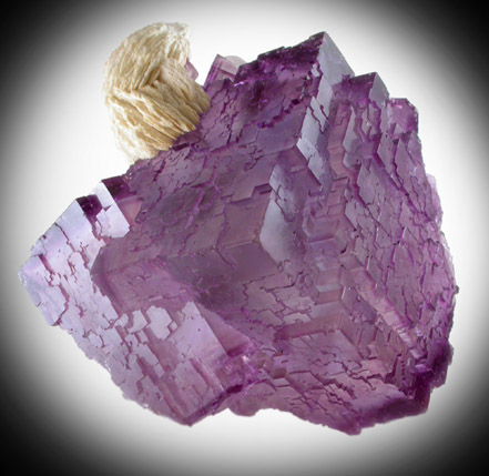 Fluorite with Barite from Berbes Mine, Ribidisella, Oviedo, Asturias, Spain