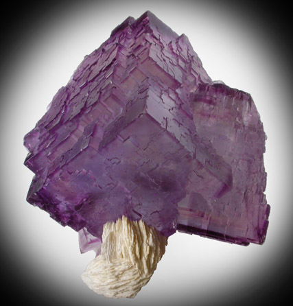 Fluorite with Barite from Berbes Mine, Ribidisella, Oviedo, Asturias, Spain