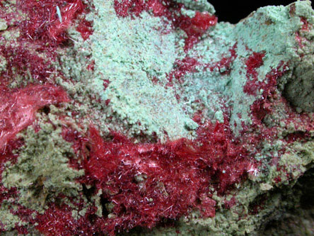 Cuprite var. Chalcotrichite from Ray Mine, Mineral Creek District, Pinal County, Arizona