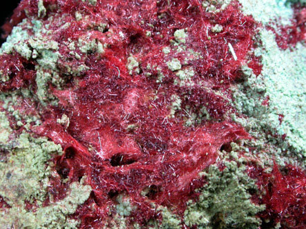 Cuprite var. Chalcotrichite from Ray Mine, Mineral Creek District, Pinal County, Arizona