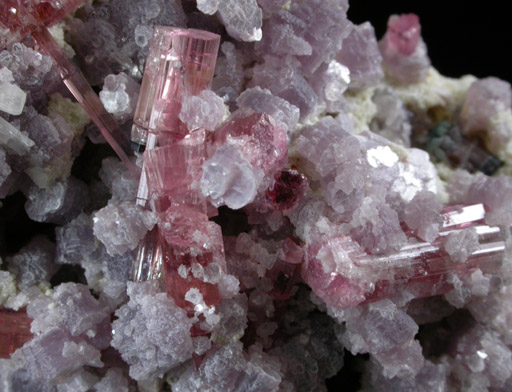 Elbaite Tourmaline var. Rubellite in Lepidolite from Mount Mica Quarry, Paris, Oxford County, Maine
