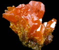 Orpiment from Twin Creeks Mine, Cut 62, Humboldt County, Nevada