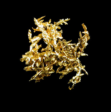 Gold (crystallized) from Siberia, Russia