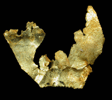 Gold (crystallized) from Farncomb Hill, Breckenridge, Summit County, Colorado