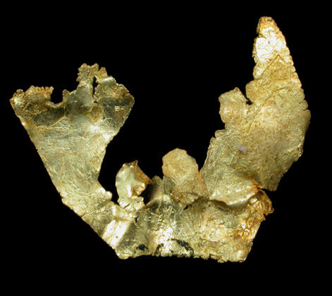 Gold from Farncomb Hill, Breckenridge, Summit County, Colorado