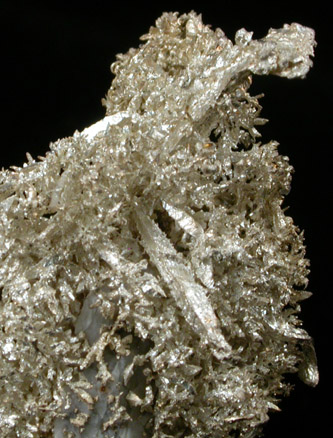 Silver from Andres del Rio District, Batopilas, Chihuahua, Mexico