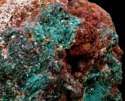 Herbertsmithite from Los Tres Presidentes Mine, Sierra Gorda, Caracoles District, Antofagasta Province, Chile (Type Locality for Herbertsmithite)