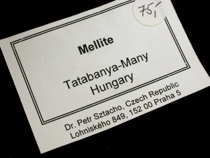 Mellite from Tatabanya-Many, northwest of Budapest, Hungary