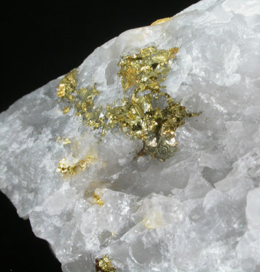 Gold and Pyrite in Quartz from Timmins District, Ontario, Canada