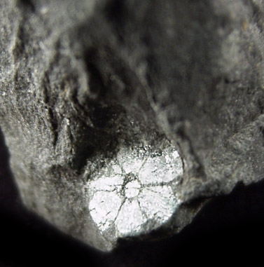 Cordierite var. Cerasite Sixling from Kameoka, Kyouto pref., Japan