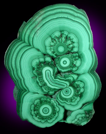 Malachite from Lubumbashi, Katanga Copperbelt, Haut-Katanga Province, Democratic Republic of the Congo