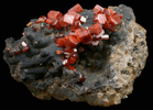 Vanadinite on Fe-Mn-oxide from Taouz, Errachidia, Meknes-Tafilalet, Morocco