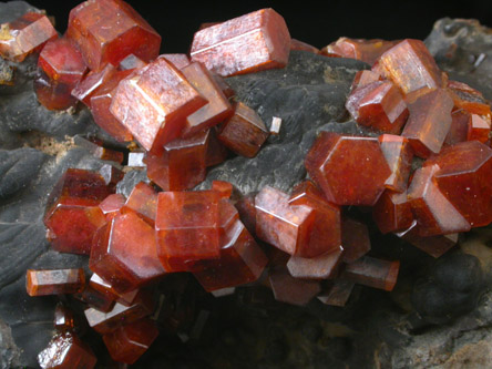 Vanadinite on Fe-Mn-oxide from Taouz, Errachidia, Meknes-Tafilalet, Morocco