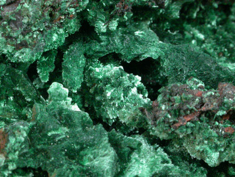 Malachite from Bisbee, Warren District, Cochise County, Arizona