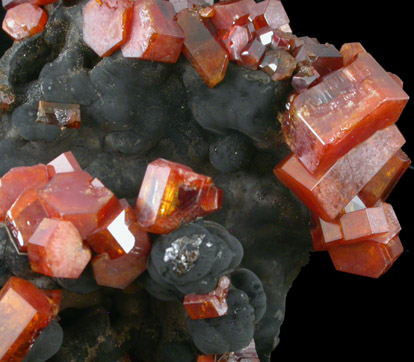 Vanadinite on Fe-Mn-oxide from Taouz, Errachidia, Meknes-Tafilalet, Morocco