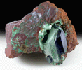 Azurite (partially altered to Malachite) from 4650' level, Lonestar Area, Morenci Mine, Morenci, Arizona