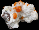 Wulfenite from Ahumada Mine, Sierra de Los Lamentos, Chihuahua, Mexico