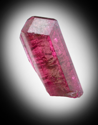 Liddicoatite Tourmaline from Antsirabe, Madagascar (Type Locality for Liddicoatite = near Antsirab)