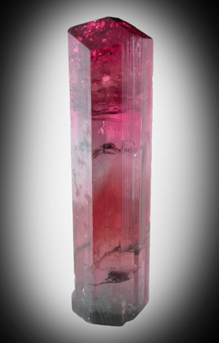 Elbaite var. Rubellite Tourmaline from Cruzeiro Mine, Minas Gerais, Brazil