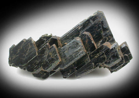 Pyroxene (Hedenbergite?) from Tormiq area, northwest of Skardu, Haramosh Mountains, Baltistan, Gilgit-Baltistan, Pakistan