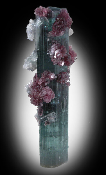 Elbaite Tourmaline with Lepidolite and Quartz from Minas Gerais, Brazil