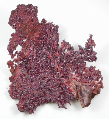 Cuprite var. Chalcotrichite on Native Copper from Bisbee, Warren District, Cochise County, Arizona