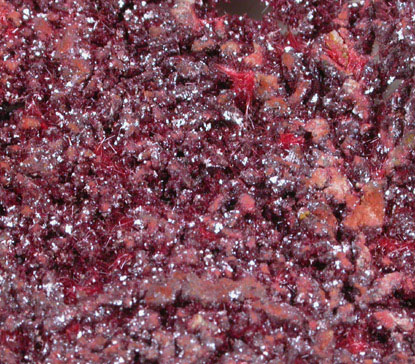 Cuprite var. Chalcotrichite on Native Copper from Bisbee, Warren District, Cochise County, Arizona