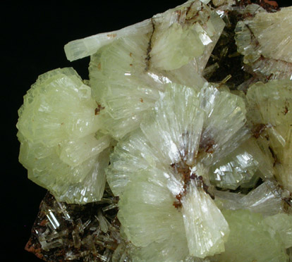 Adamite from Mina Ojuela, Mapimi, Durango, Mexico