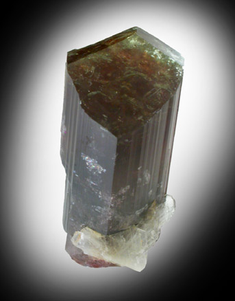 Elbaite Tourmaline from Minas Gerais, Brazil