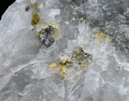 Gold and Pyrite in Quartz from Timmins District, Ontario, Canada