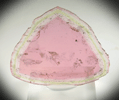 Elbaite var. Watermelon Tourmaline slice from Dunton Quarry, Plumbago Mountain, Hall's Ridge, Newry, Oxford County, Maine
