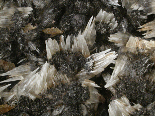 Calcite on Fluorite from Cave-in-Rock District, Hardin County, Illinois