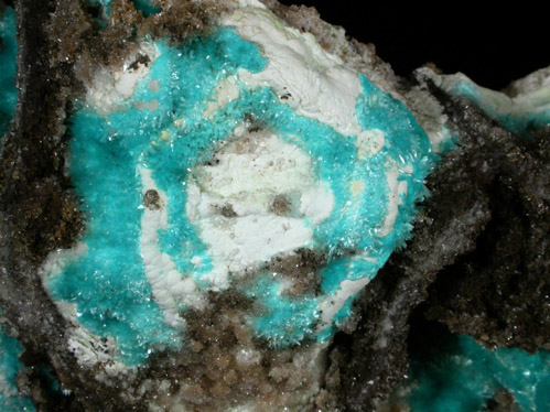 Aurichalcite with Hemimorphite from Mina Ojuela, Mapimi, Durango, Mexico