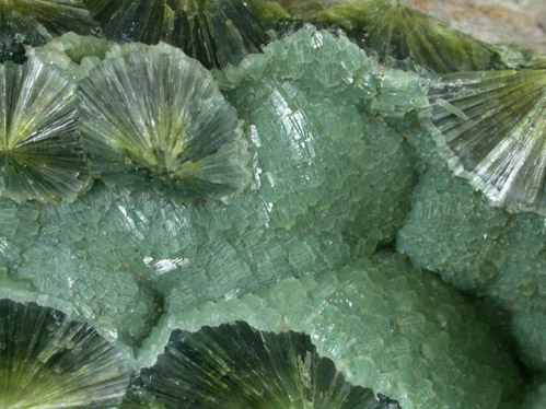 Wavellite from Dug Hill, near Avant, Garland County, Arkansas