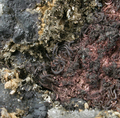 Silver (wire crystals) with Ruby Silver from Colquechaca, Potosi Department, Bolivia