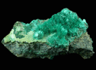 Brochantite from Mina Vieja, Potrerillos, Atacama, Chile
