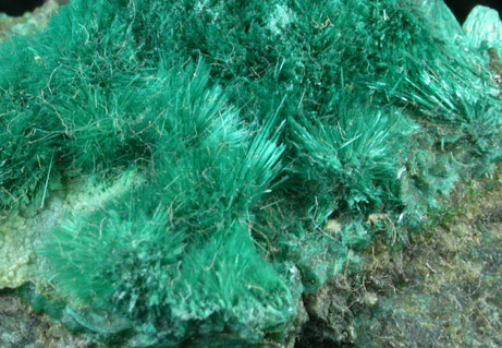 Brochantite from Mina Vieja, Potrerillos, Atacama, Chile