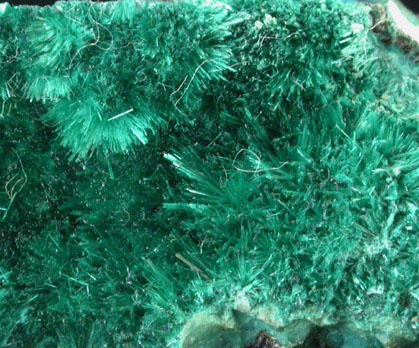 Brochantite from Mina Vieja, Potrerillos, Atacama, Chile