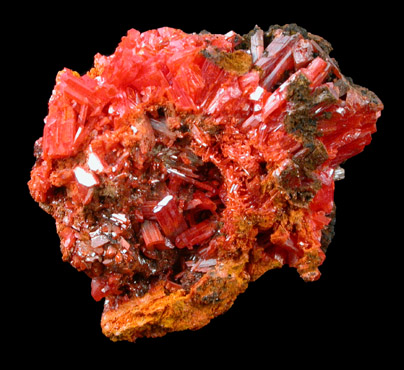 Crocoite from Dundas, Tasmania, Australia