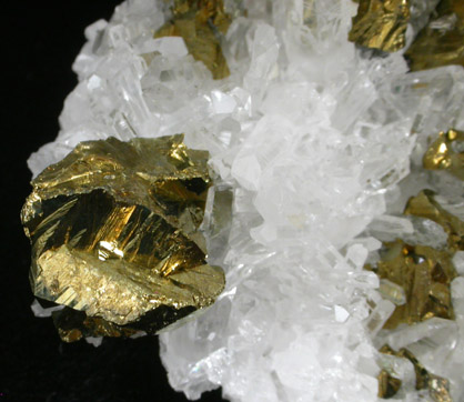 Chalcopyrite on Quartz from Cavnic Mine (Kapnikbanya), Maramures, Romania