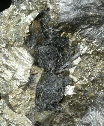 Zinkenite in Pyrite from Mina Bolivia, Poopo Province, Oruro Department, Bolivia