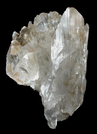 Gypsum var. Selenite from Naica District, Saucillo, Chihuahua, Mexico