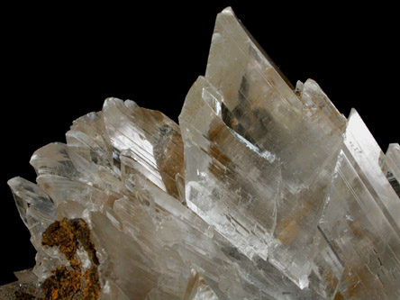 Gypsum var. Selenite from Naica District, Saucillo, Chihuahua, Mexico