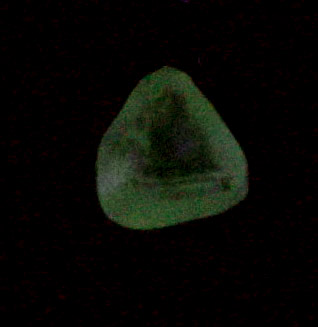 Diamond (0.64 carat pale green macle, twinned crystal) from Roraima Mine, Roraima (near the Venezuela border), Brazil