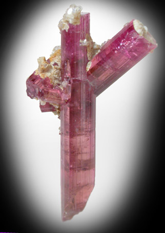 Elbaite var. Rubellite Tourmaline from Minas Gerais, Brazil